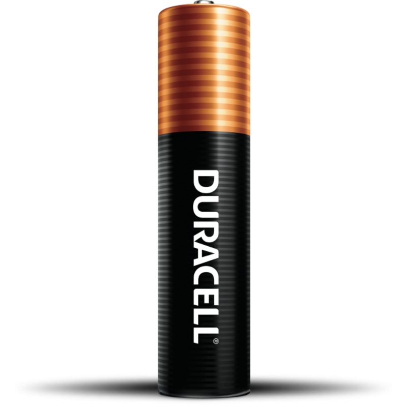 Duracell Coppertop AAA Alkaline Batteries