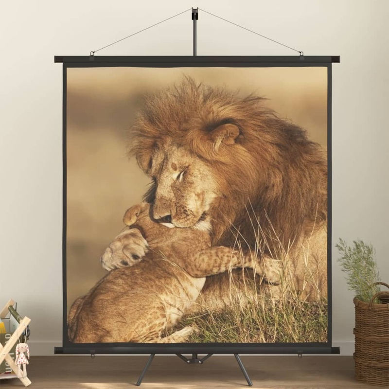 Berkfield Projection Screen with Tripod 63 1:1
