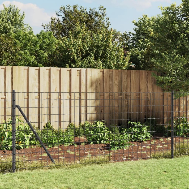 Berkfield Wire Mesh Fence with Spike Anchors Anthracite 1.1×10 m
