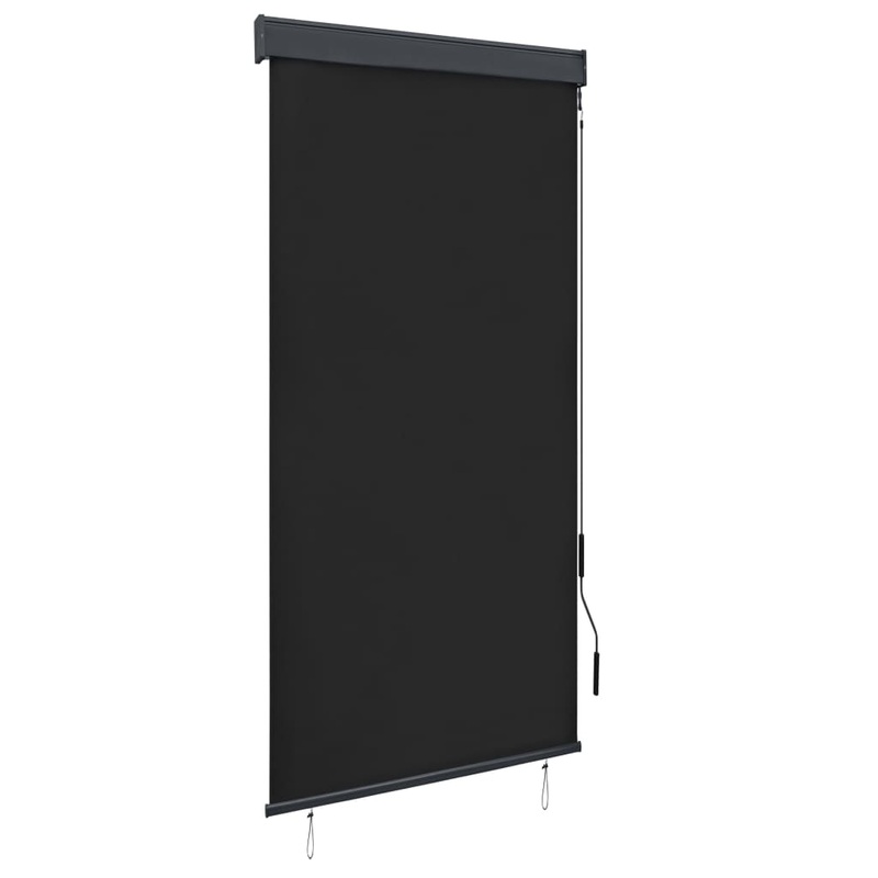 Berkfield Outdoor Roller Blind 100×250 cm Anthracite