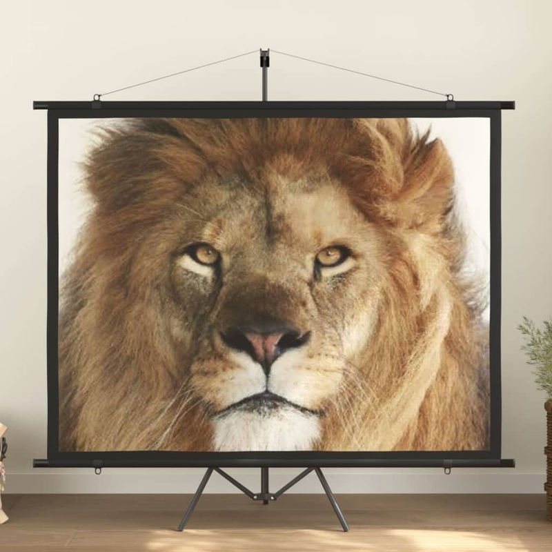Berkfield Projection Screen 100 4:3