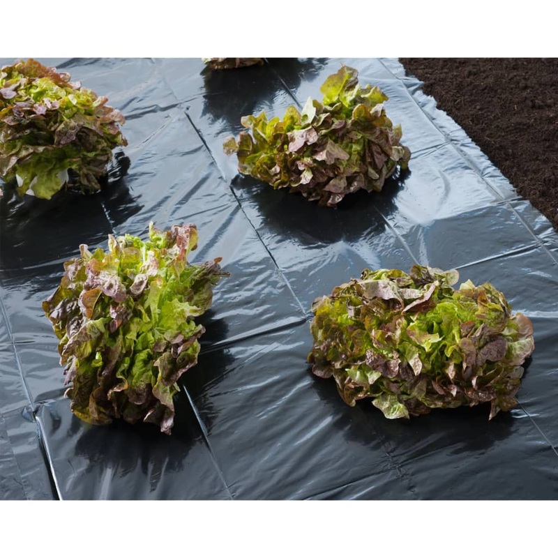 Nature Cover Foil 4×6 m 150_ Black