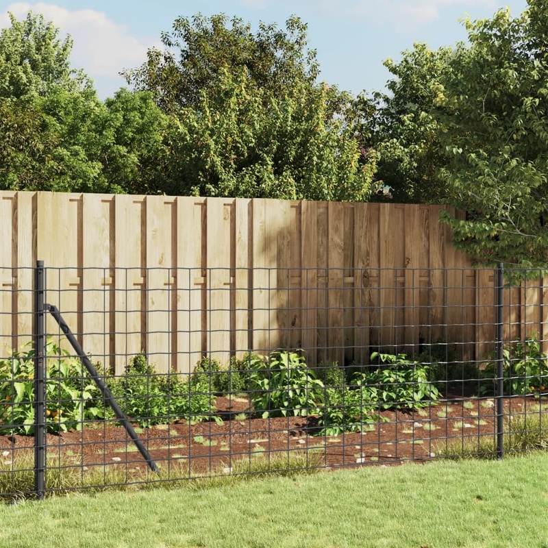 Berkfield Wire Mesh Fence with Flange Anthracite 0.8×25 m