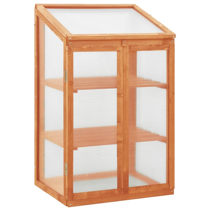 Berkfield Greenhouse 60x45x100 cm Firwood