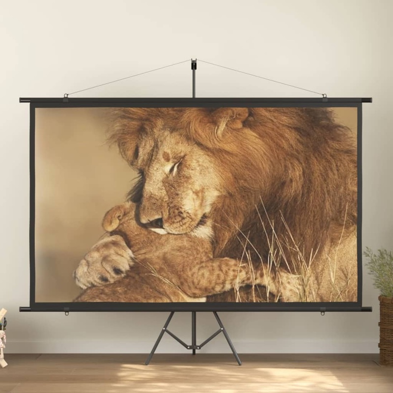 Berkfield Projection Screen 108 16:9