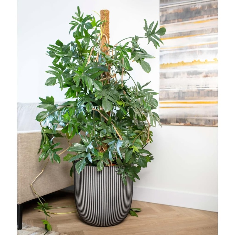 Capi Planter Groove 43×41 cm Anthracite