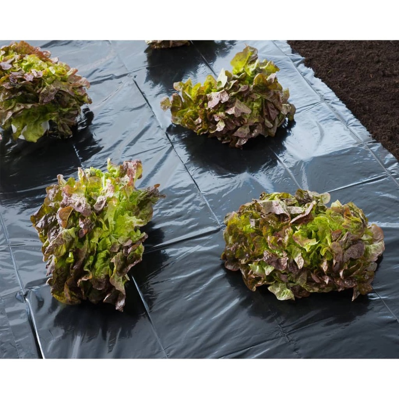 Nature Cover Foil 4×6 m 100_ Black