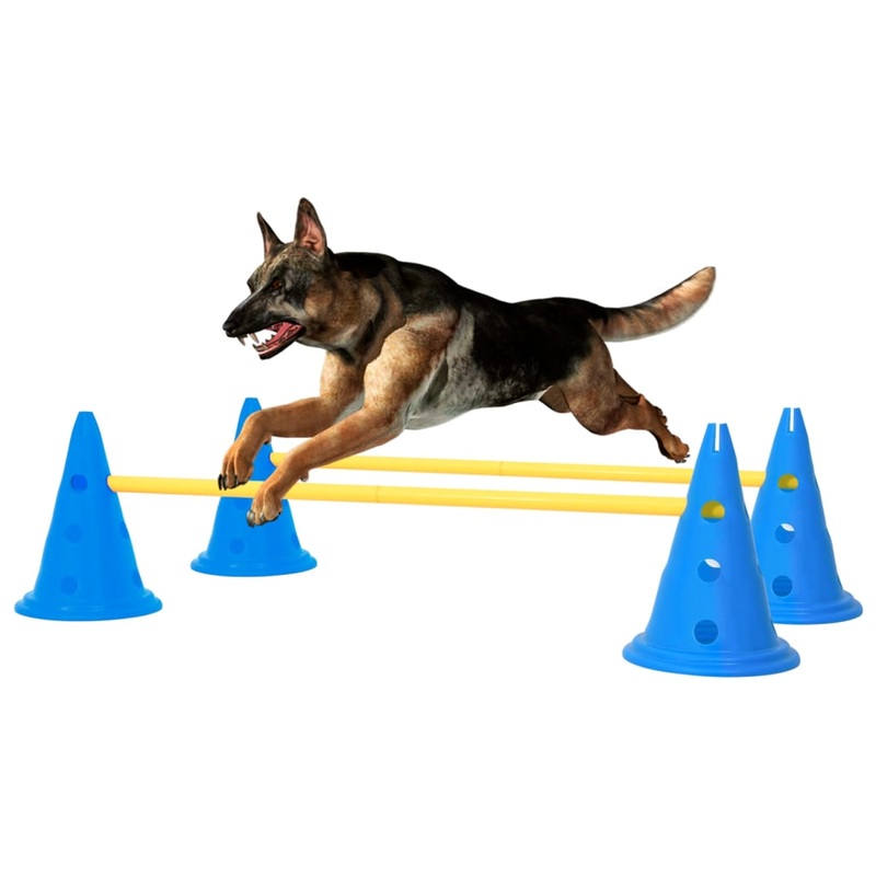 Berkfield Dog Activity Obstacle Set Blue and Yellow