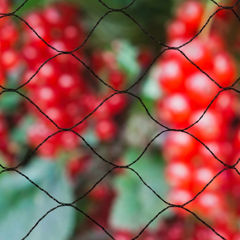 Nature Bird Netting Primo 10×10 m Black 6030407