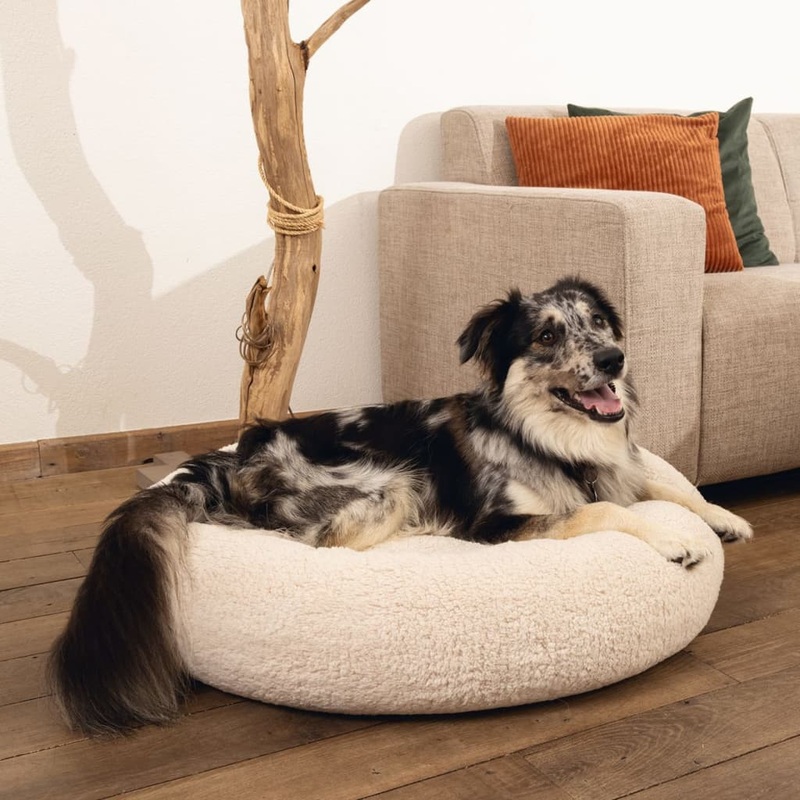 Beeztees Dog Bed Memory Foam Jaxx 50×20 cm Beige