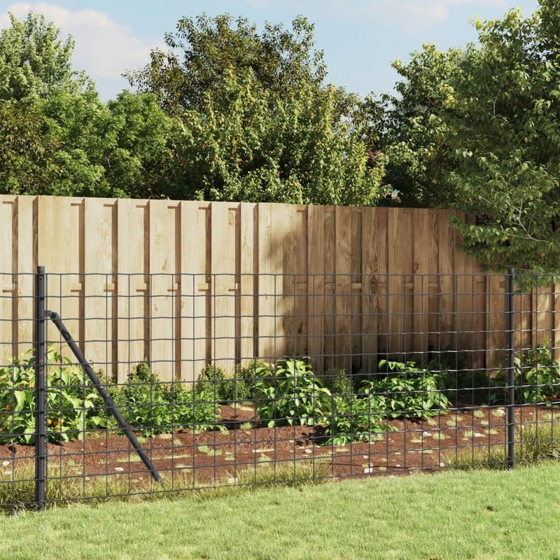 Berkfield Wire Mesh Fence with Spike Anchors Anthracite 0.8×10 m