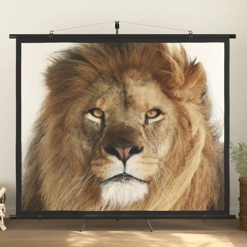Berkfield Projection Screen with Tripod 90 4:3