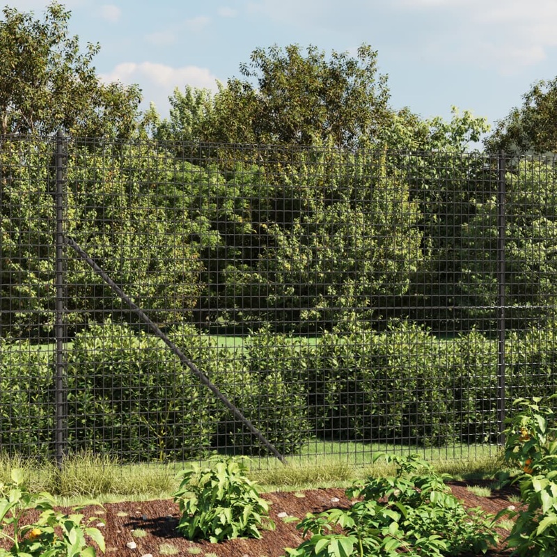 Berkfield Wire Mesh Fence with Spike Anchors Anthracite 1.8×10 m