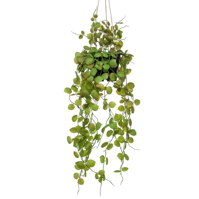 Emerald Artificial Ceropegia Hanging Bush 50 cm in Pot