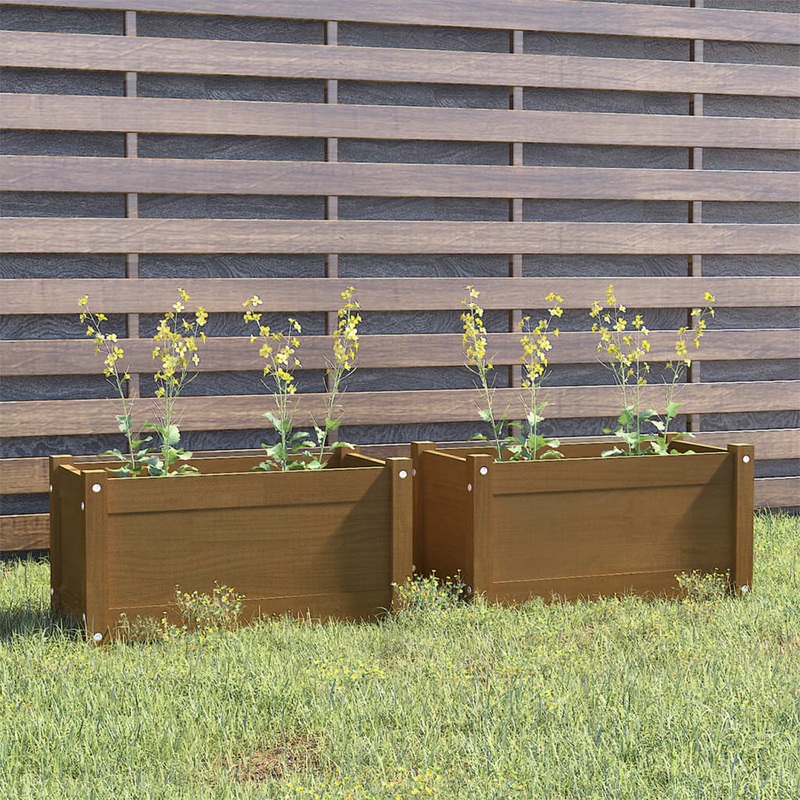 Berkfield Garden Planters 2 pcs Honey Brown 60x31x31 cm Solid Pinewood