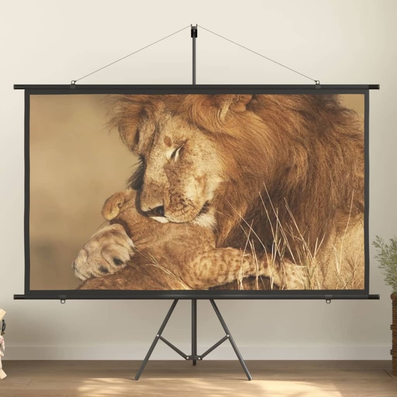 Berkfield Projection Screen with Tripod 90 16:9