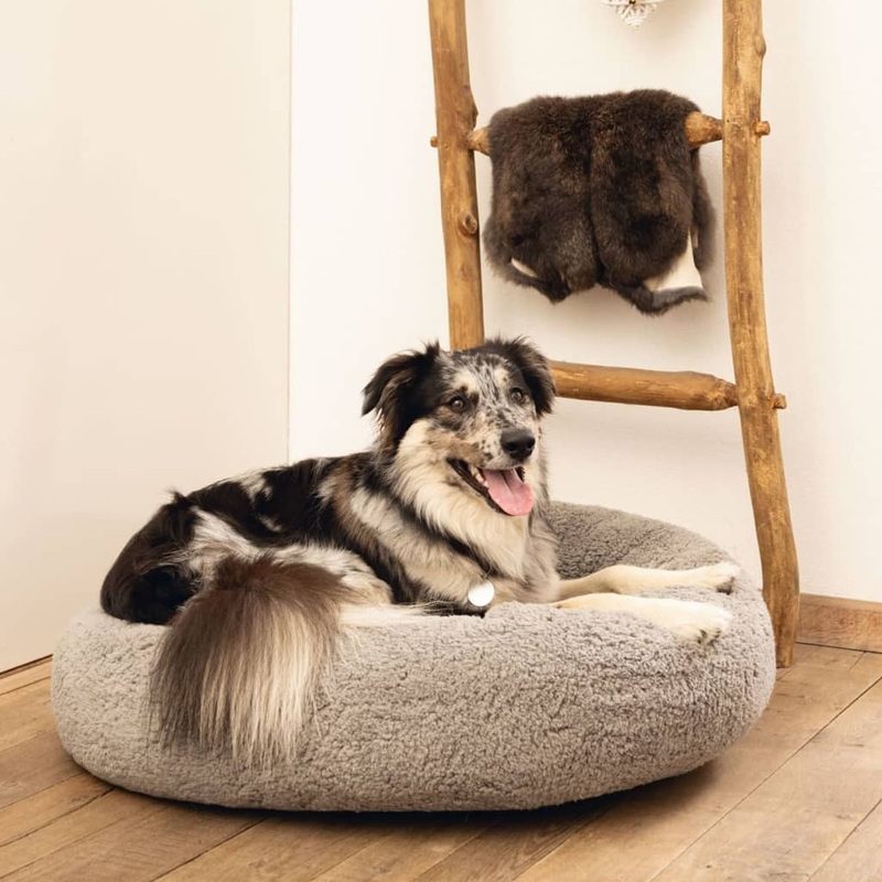 Beeztees Dog Bed Memory Foam Jaxx 60×25 cm Grey