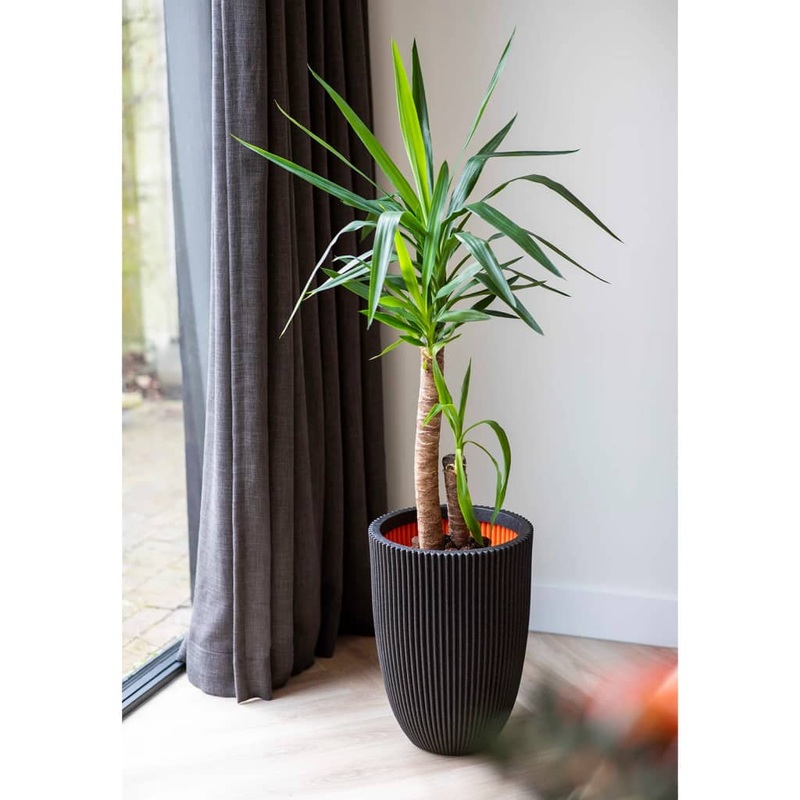 Capi Vase Elegant Groove 34×46 cm Black