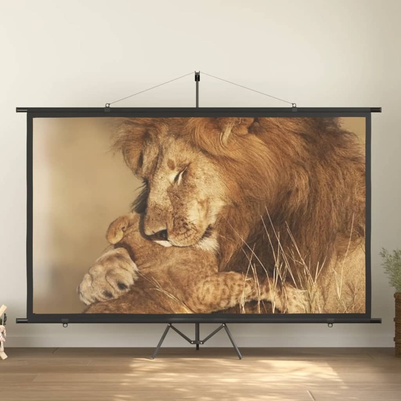 Berkfield Projection Screen with Tripod 120 16:9