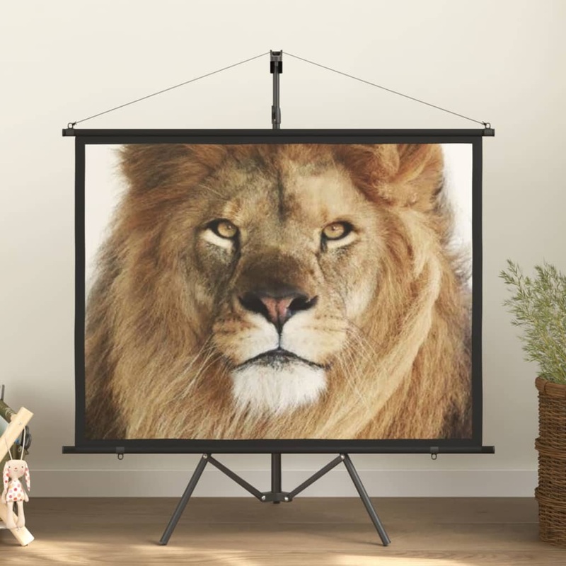 Berkfield Projection Screen with Tripod 60 4:3