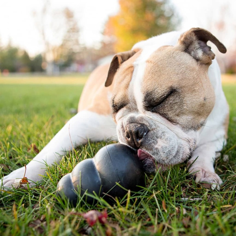Kong Dog Toy Extreme Black XL